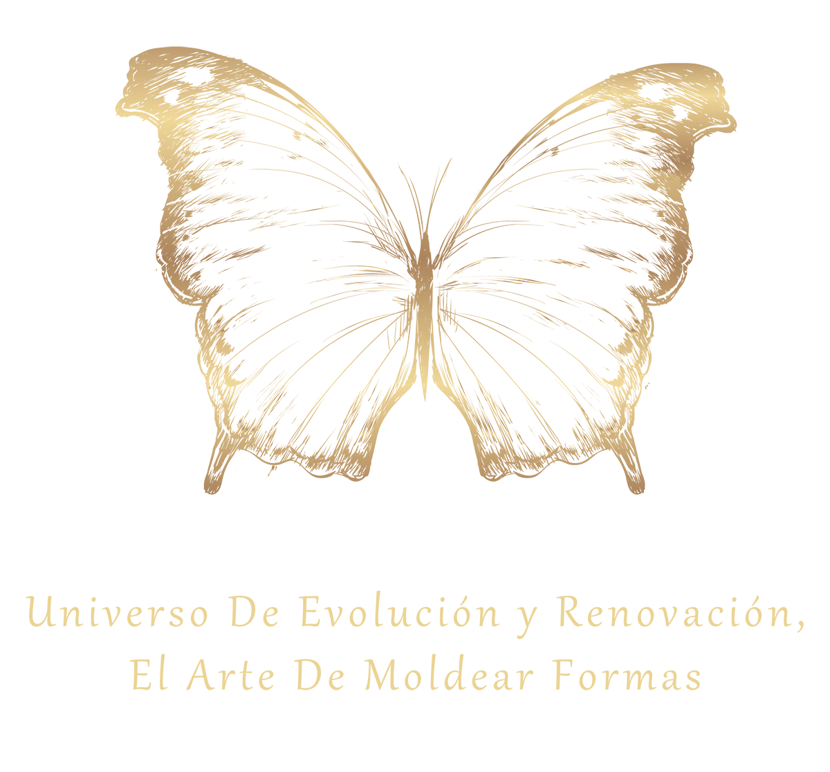 mariposa mariposa