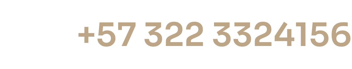 tel3223324156